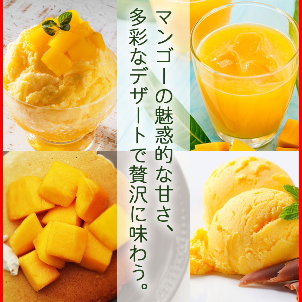 沖縄県南風原町のふるさと納税 【2026年発送】比嘉マンゴーファームのアーウィンマンゴー　家庭用1.5kg