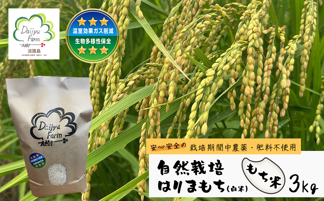 自然栽培もち米　はりまもち（白米）　3kg