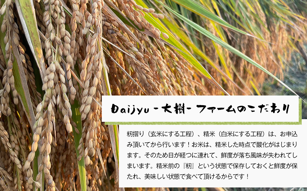 自然栽培もち米　はりまもち（白米）　3kg