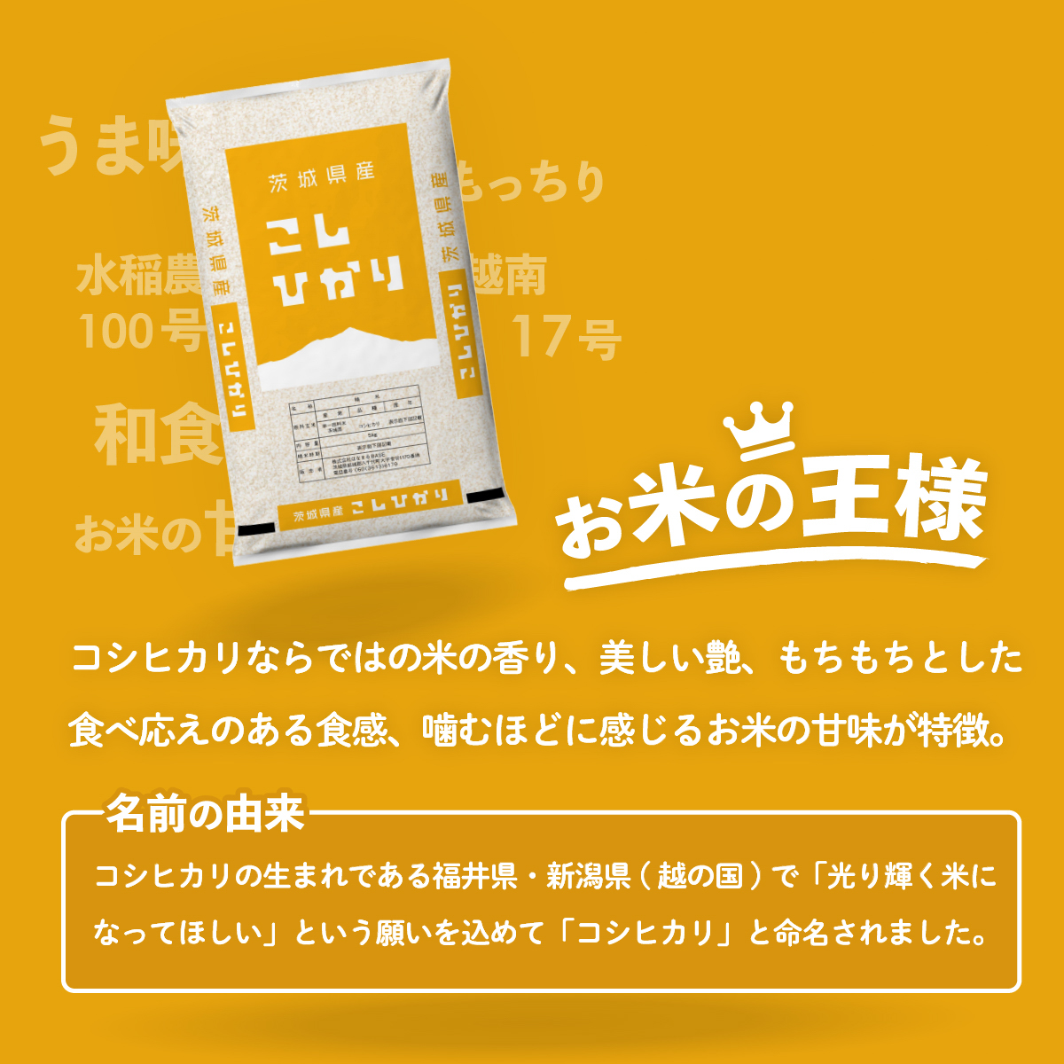 茨城県八千代町のふるさと納税 【1月発送】コシヒカリ 5kg (5kgx1袋) 令和7年産 茨城県産 こしひかり 白米 精米 茨城県 八千代町 お米 米 [SF561yai]