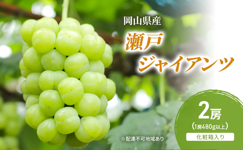 �y���R�������s�z�Ԃǂ� 2026�N ��s�\�� ���˃W���C�A���c 2�[(1�[480g�ȏ�) ���ϔ����� �u�h�E ���� ���R���Y ���Y �t���[�c �ʕ� �M�t�g