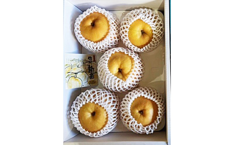 梨 2026年 先行予約 新高梨 3-6玉（約4kg） 化粧箱入り なし ナシ 岡山県産 国産 フルーツ 果物 ギフト