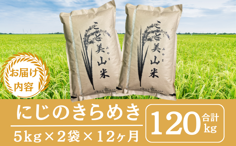 【定期便12回】令和7年産 にじのきらめき 10kg 美山町産 こと美山米