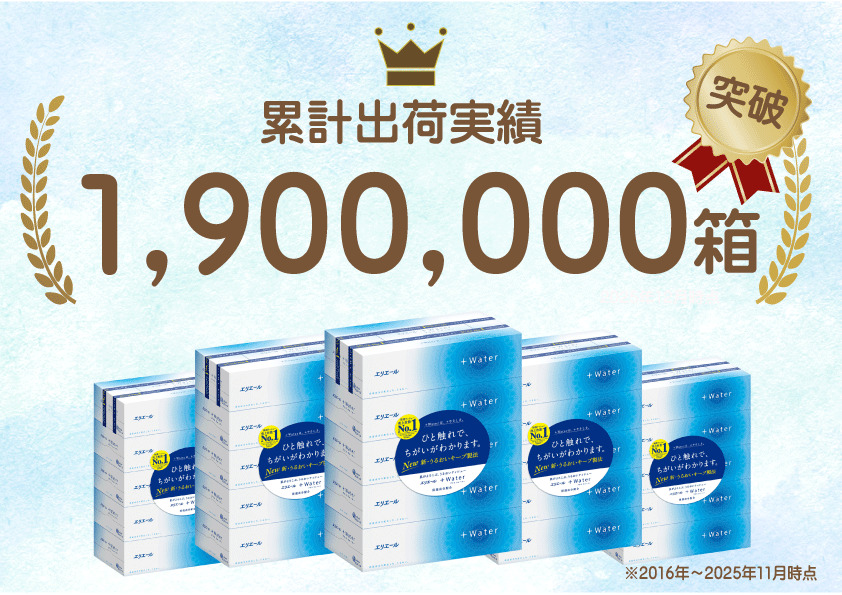 【定期便 3ヵ月連続お届け】エリエール 〈アソート〉 ＋Water 15箱 ダブル30m 48ロール トイレットペーパー ティッシュ トイレ ボックスティッシュ まとめ買い ペーパー 紙 防災 常備品 備蓄品 消耗品 備蓄 日用品