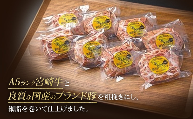 ハンバーグ A5ランク 宮崎牛 180g 16個 セット マ・メゾン 国産 冷凍ハンバーグ 工場直売 惣菜