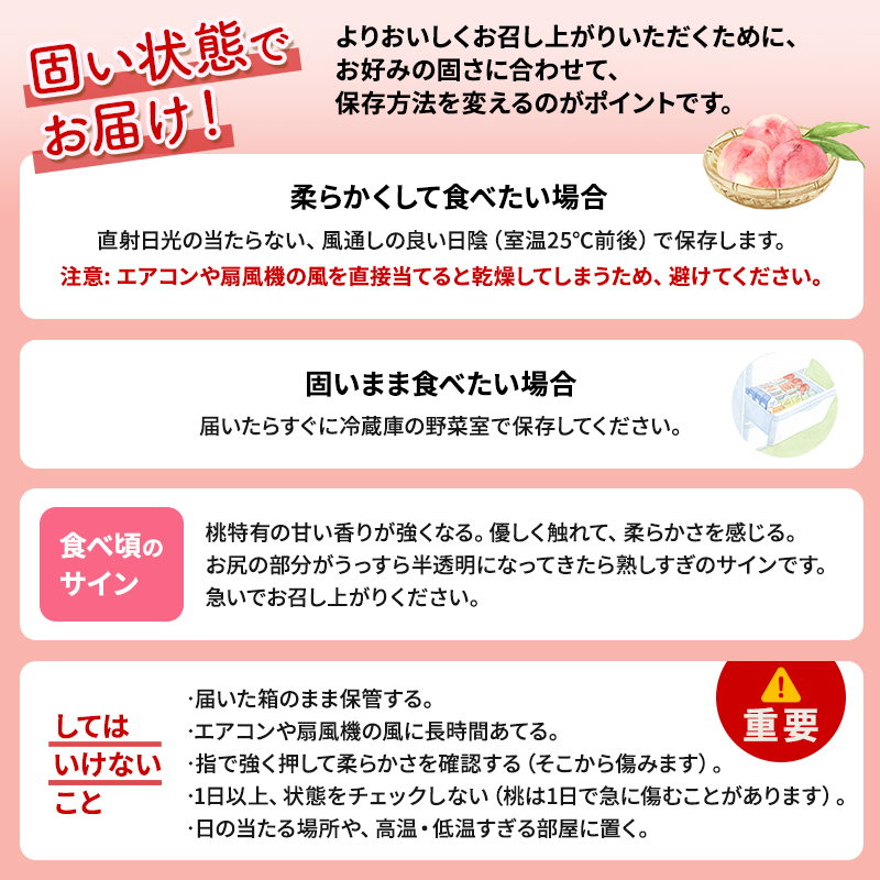 2026年発送 先行予約 「浅間水蜜桃プレミアム」 もも なつっこ 秀品 約2kg 5～9玉 ふるさと納税 果物 桃 フルーツ モモ 果肉  長野県産 小諸市 