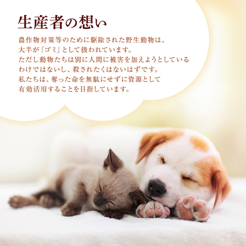 【3ヶ月定期便】小諸産 KomoroPremium 鹿肉ウエットフード（栄養補助食）10袋（100g/袋）×3ヶ月