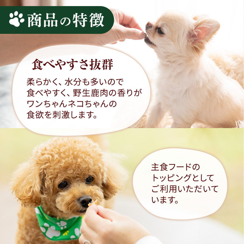 【6ヶ月定期便】小諸産 KomoroPremium 鹿肉ウエットフード（栄養補助食）10袋（100g/袋）×6カ月