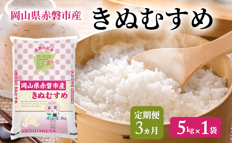米 2025年 定期便 3ヵ月 きぬむすめ 5kg 1袋 岡山県赤磐市産 精米 白米 こめ お米 特Aランク 3回