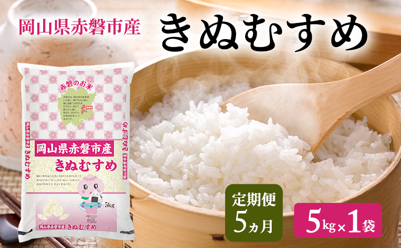 米 2025年 定期便 5ヵ月 きぬむすめ 5kg 1袋 岡山県赤磐市産 精米 白米 こめ お米 特Aランク 5回