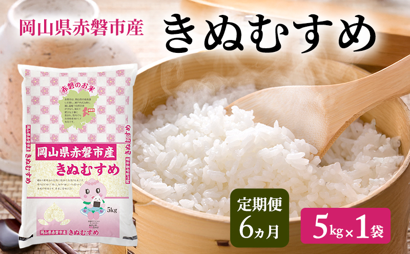 米 2025年 定期便 6ヵ月 きぬむすめ 5kg 1袋 岡山県赤磐市産 精米 白米 こめ お米 特Aランク 6回 半年