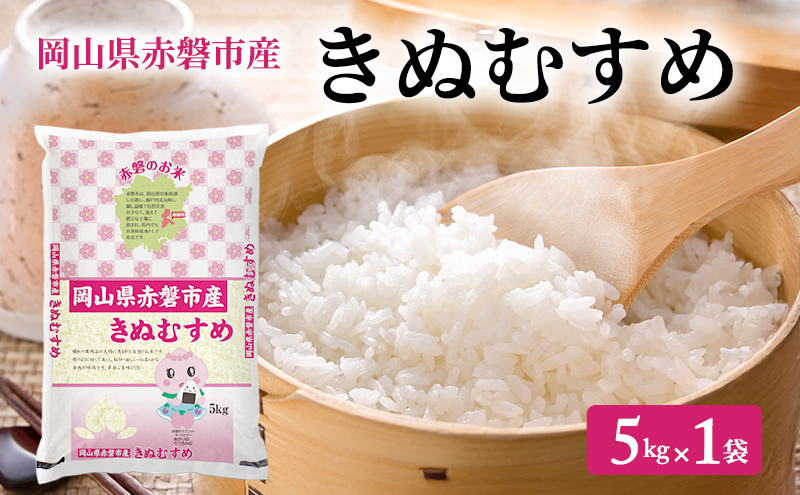 米 2025年 きぬむすめ 5kg 1袋 岡山県赤磐市産 精米 白米 こめ お米 特Aランク