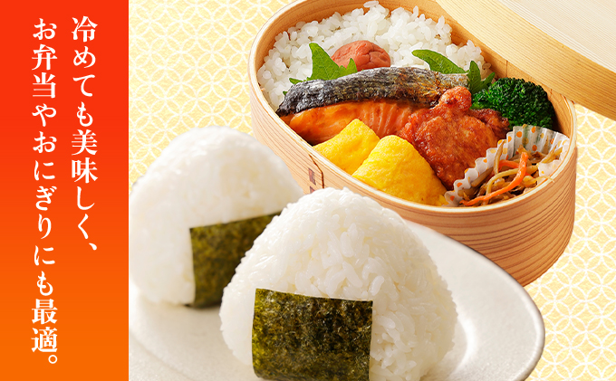 福岡県大木町のふるさと納税 令和7年産 福岡県産米100％使用！大木町 ゆめおおき 10kg ※北海道・沖縄・離島は配送不可 CY006