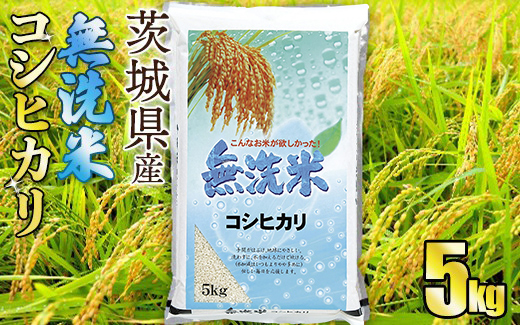 y錧Jszyāzߘa7NYRVqJ 5kg