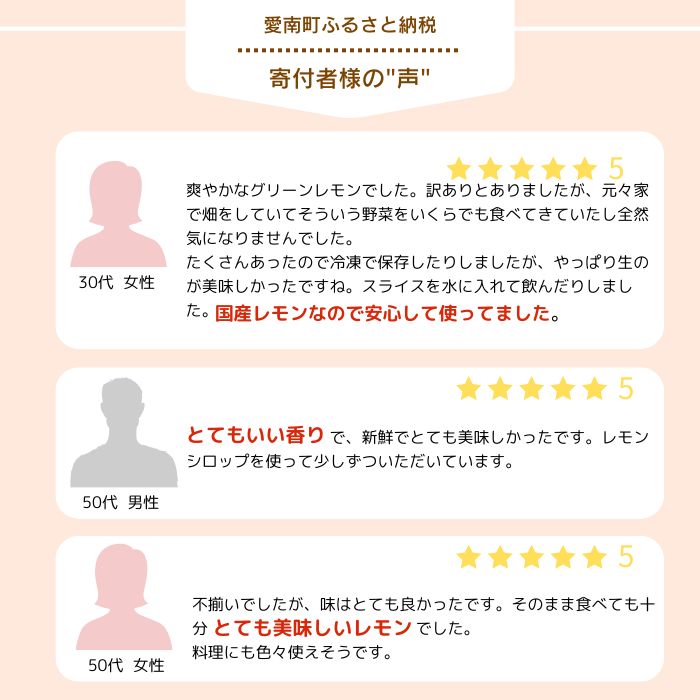 訳あり レモン（イエローレモン） 3kg りのか 減農薬 レモン イエローレモン 農家直送 こだわり らんきんぐ 柑橘 かんきつ 檸檬 果物 くだもの 果実 国産 フルーツ 有名 愛媛 ブランド 愛媛県産 瀬戸内 ビタミン 美味しい 生産者 直送 産直 無添加 レモンサワー ジュース チューハイ 愛媛県 愛南町 みかん職人武田屋