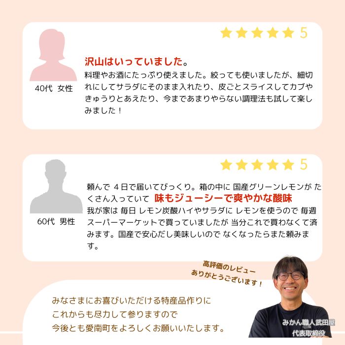 訳あり レモン（イエローレモン） 3kg りのか 減農薬 レモン イエローレモン 農家直送 こだわり らんきんぐ 柑橘 かんきつ 檸檬 果物 くだもの 果実 国産 フルーツ 有名 愛媛 ブランド 愛媛県産 瀬戸内 ビタミン 美味しい 生産者 直送 産直 無添加 レモンサワー ジュース チューハイ 愛媛県 愛南町 みかん職人武田屋