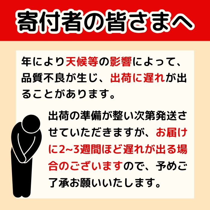 訳あり レモン（イエローレモン） 3kg りのか 減農薬 レモン イエローレモン 農家直送 こだわり らんきんぐ 柑橘 かんきつ 檸檬 果物 くだもの 果実 国産 フルーツ 有名 愛媛 ブランド 愛媛県産 瀬戸内 ビタミン 美味しい 生産者 直送 産直 無添加 レモンサワー ジュース チューハイ 愛媛県 愛南町 みかん職人武田屋
