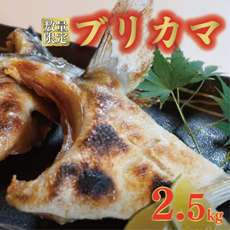 数量限定 ブリカマ 2.5kg 10000円 冷凍 サイズ 不揃い ぶりかま ぶりカマ 鰤かま 食べ物 旬 お手軽 魚海鮮 魚介 父の日 小分け 真空 パック 新鮮 鮮魚 養殖 国産 鰤 ぶり ブリ お取り寄せ ギフト プレゼント おつまみ アテ おかず カマ 塩焼き 煮物 あらだき あら煮 肉 厚 規格外 人気 ハマスイ 愛南町 愛媛県