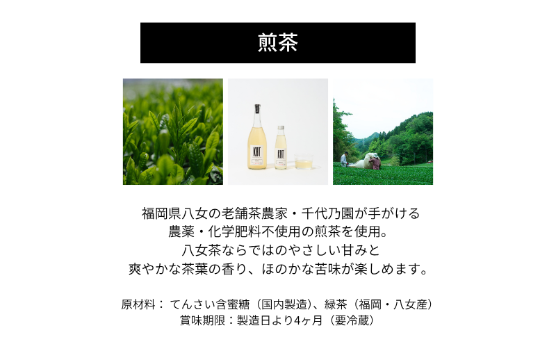 発酵飲料コンブチャ【KBT】煎茶/ホーリーバジル　200ml 各4本（8本セット）｜健康 美容 腸内環境 免疫 添加物不使用 国内製造
