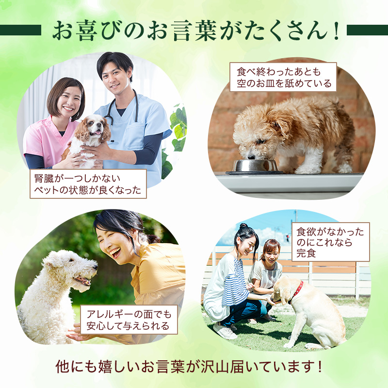 小諸産 KomoroPremium 4種類詰め合わせ（鹿肉ジャーキー・ウエットフード・ドライフード・アキレス腱） 