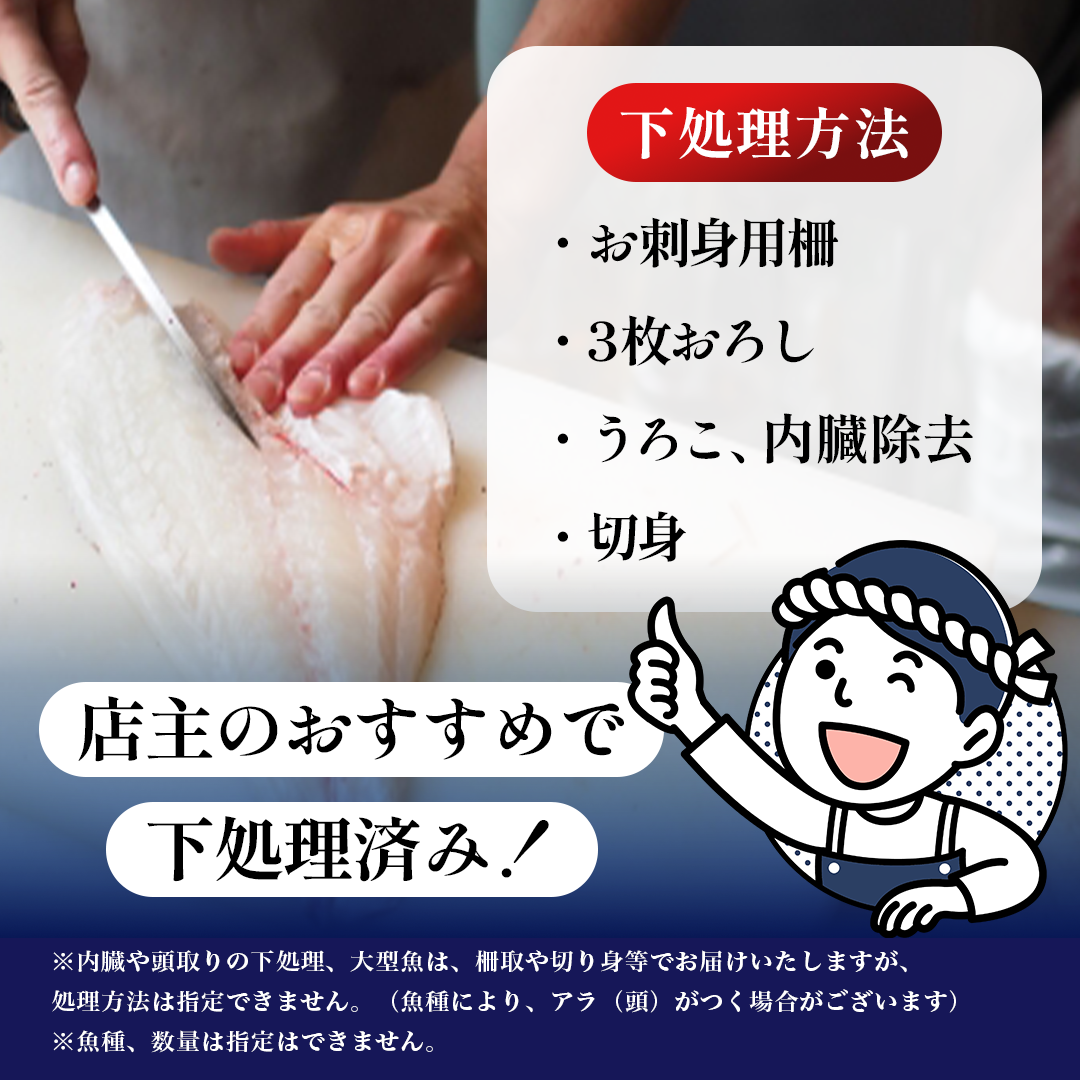 鮮魚 冷蔵 クール便「 開けたらすぐ食べられる下処理済み 海産物 4～5人前 セット 」さとう鮮魚店【 パック 詰め合わせ 海鮮セット 鮮魚ボックス 海鮮 海の幸 魚介 魚介類 刺身 切り身  秋田県 にかほ 】
