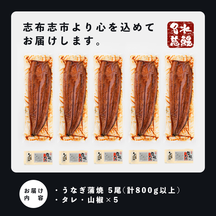 鹿児島県志布志市のふるさと納税 【志布志市制20周年記念】【10営業日以内に発送】鹿児島県産うなぎ蒲焼 名水慈鰻 5尾＜計800g以上＞ b8-043