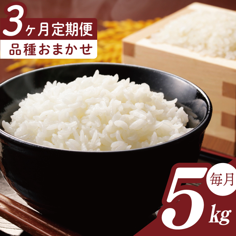 【2026年2月より順次発送】【3回定期便】R7年産米 品種おまかせ定期便 5kg｜米 お米 白米 精米 R7年産 令和7年産 こしひかり コシヒカリ ミルキークイーン にじのきらめき あきたこまち 定期便 おまかせ定期便 茨城県 茨城県産 行方市(HA-35)
