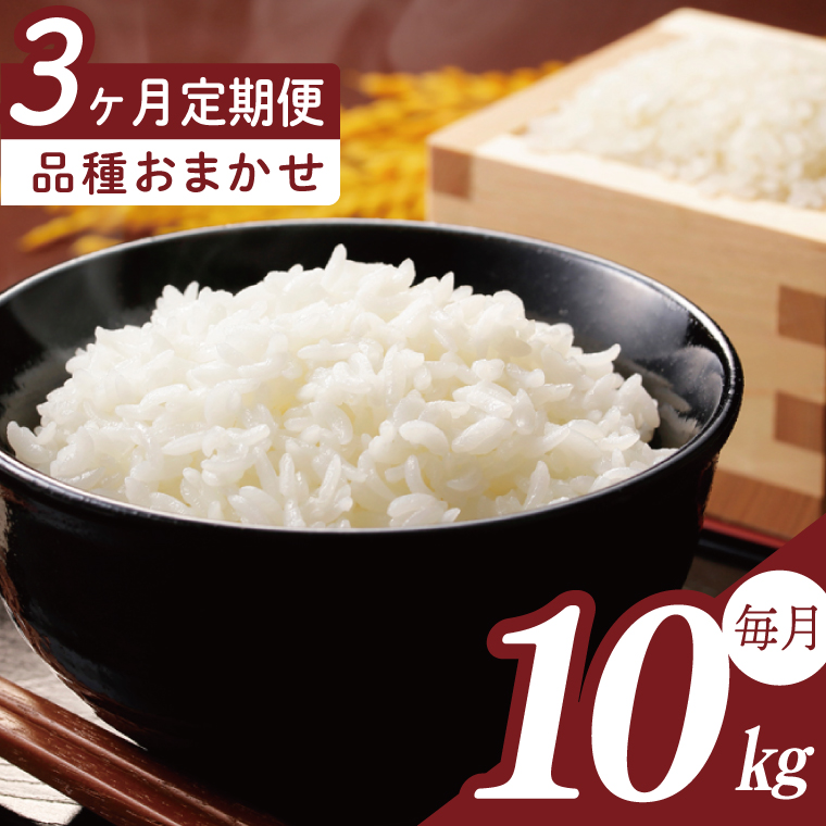 【2026年2月より順次発送】【3回定期便】R7年産米 品種おまかせ定期便 10kg｜米 お米 白米 精米 R7年産 令和7年産 こしひかり コシヒカリ ミルキークイーン にじのきらめき あきたこまち 定期便 おまかせ定期便 茨城県 茨城県産 行方市(HA-36)