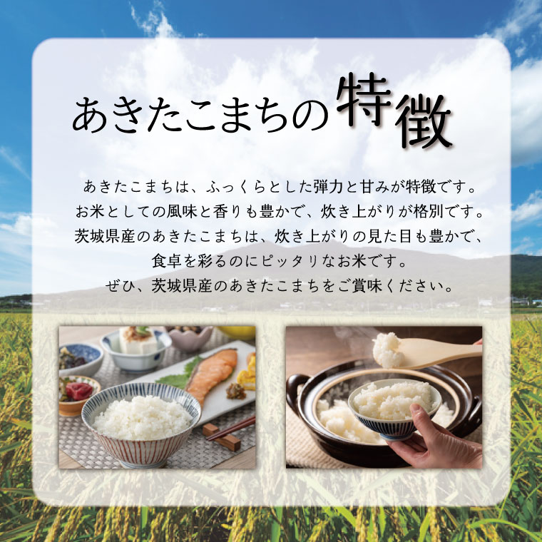 【2026年2月より順次発送】【3回定期便】R7年産米 品種おまかせ定期便 10kg｜米 お米 白米 精米 R7年産 令和7年産 こしひかり コシヒカリ ミルキークイーン にじのきらめき あきたこまち 定期便 おまかせ定期便 茨城県 茨城県産 行方市(HA-36)