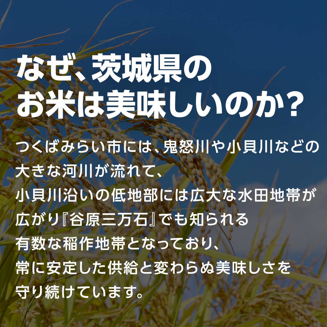 茨城県つくばみらい市のふるさと納税 ＼ 最短翌日発送 ／【 お試しサイズ 】 コシヒカリ 150g (150g×1袋)  令和７年産 茨城県産 お試し ♪ 1合 五つ星お米マイスター監修 ポスト投函 精米 茨城 お米 おこめ ごはん 白米 米 茨城産 こしひかり[DW01-NT]