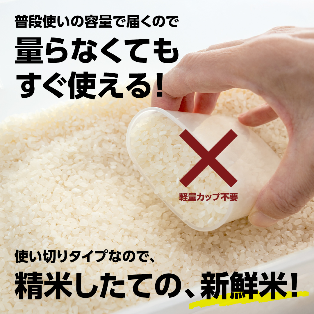 茨城県つくばみらい市のふるさと納税 ＼ 最短翌日発送 ／【 お試しサイズ 】 コシヒカリ 150g (150g×1袋)  令和７年産 茨城県産 お試し ♪ 1合 五つ星お米マイスター監修 ポスト投函 精米 茨城 お米 おこめ ごはん 白米 米 茨城産 こしひかり[DW01-NT]