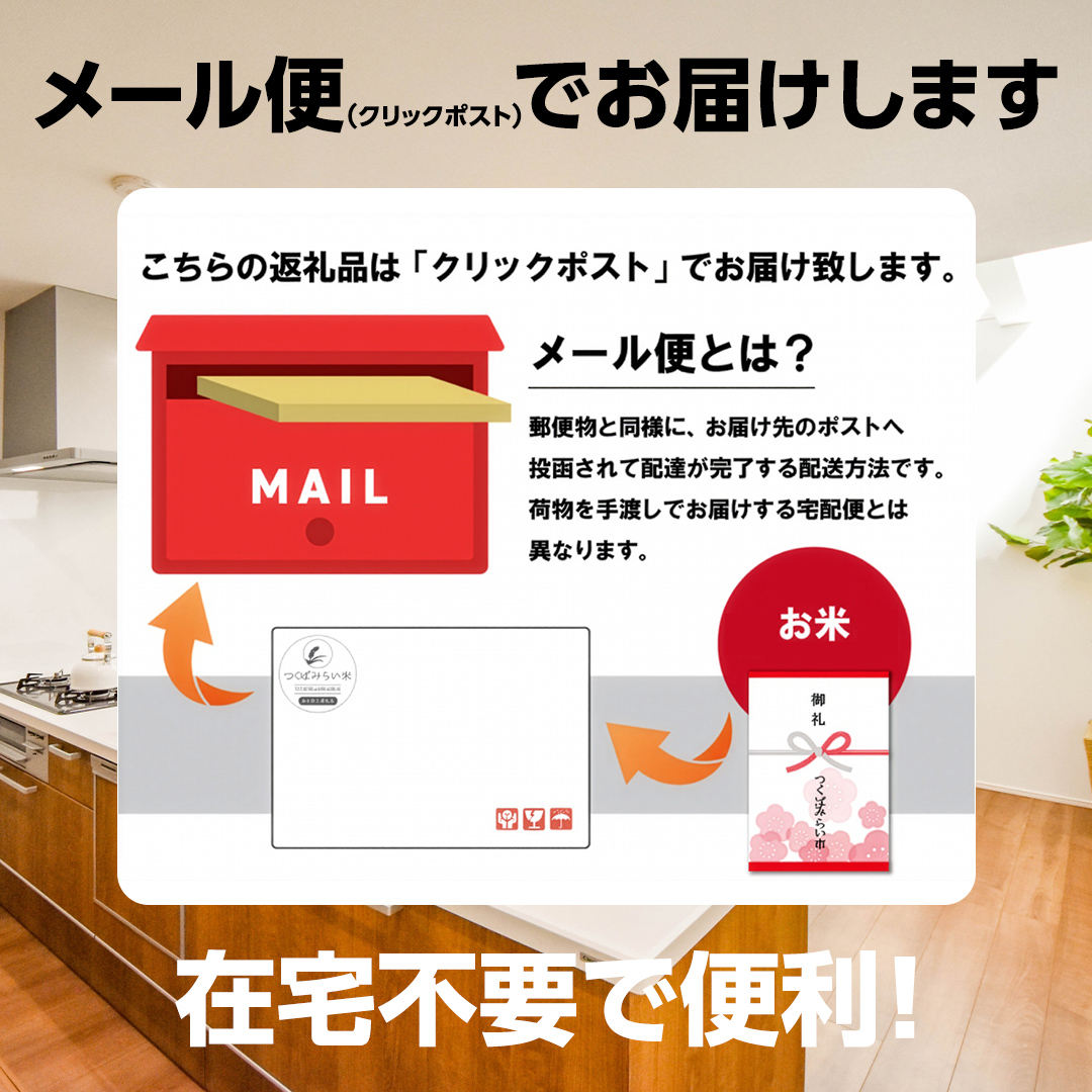 茨城県つくばみらい市のふるさと納税 ＼ 最短翌日発送 ／【 お試しサイズ 】 コシヒカリ 150g (150g×1袋)  令和７年産 茨城県産 お試し ♪ 1合 五つ星お米マイスター監修 ポスト投函 精米 茨城 お米 おこめ ごはん 白米 米 茨城産 こしひかり[DW01-NT]