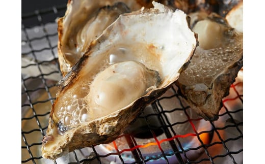 I-55生食用浦村牡蠣１５個入りセット