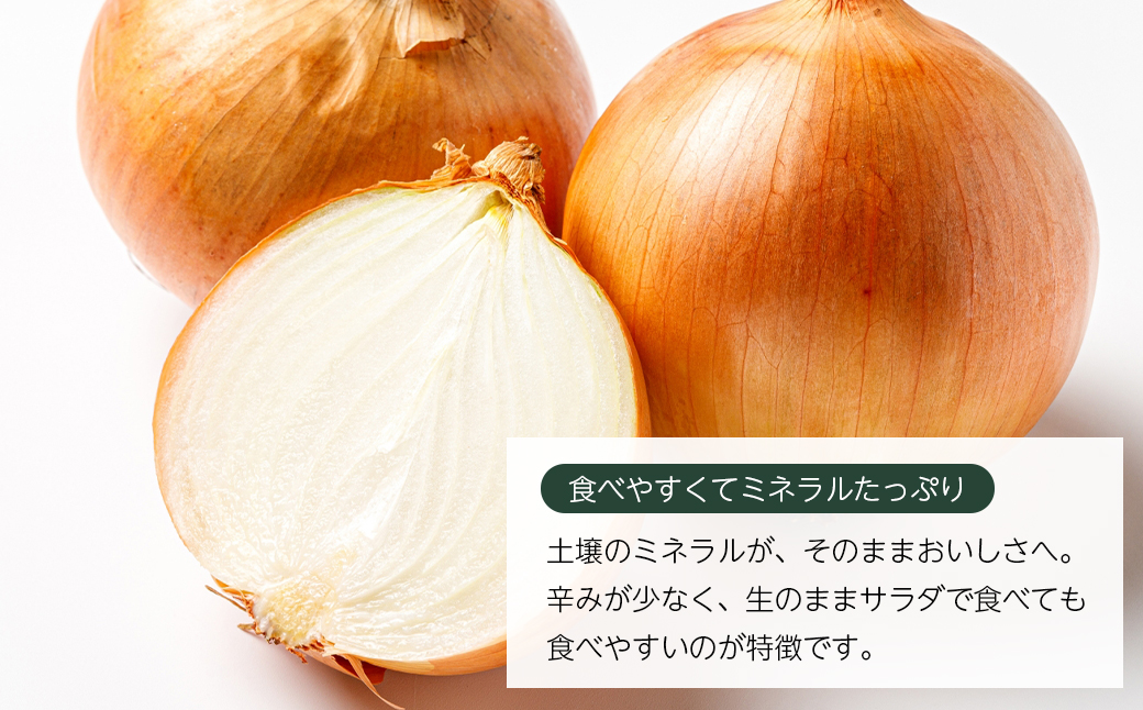 いざなぎ農園の淡路島たまねぎ 10kg　　[玉ねぎ 玉葱]
