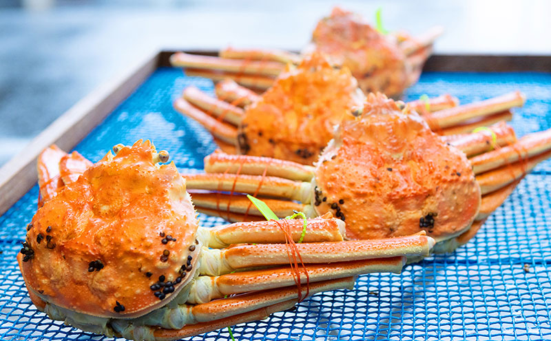 【数量限定】夫婦蟹 甲羅盛セット 松葉蟹 ほぐし身（特大）※活き蟹（1,000g級）とコッペがに（中サイズ3個）