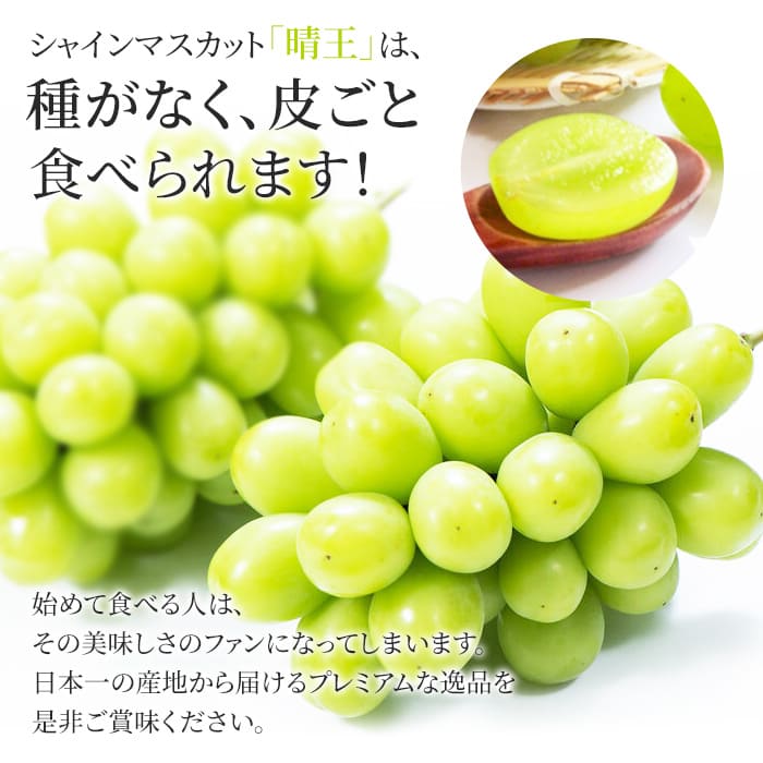 ぶどう 2026年 先行予約 シャイン マスカット 晴王 特選 1房 約700g 大粒 種無し ブドウ 葡萄 岡山県産 国産 フルーツ 果物 ギフト 橋田商店