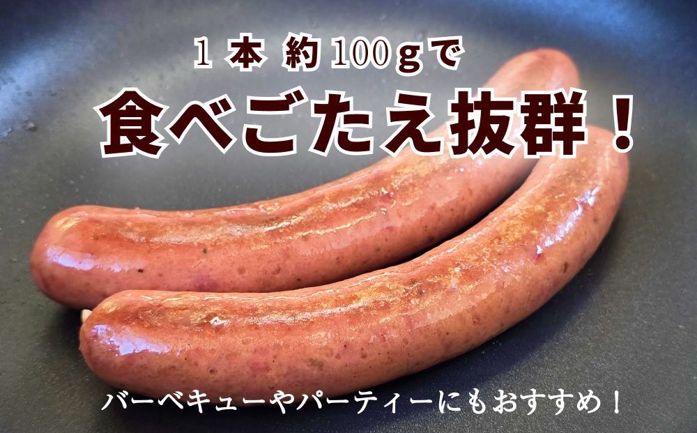 北海道産 黒毛和牛 100％ こぶ黒 BIG フランクフルト 4本 入り  和牛 牛肉 ソーセージ 冷凍