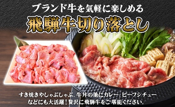 飛騨牛切り落とし約800g（約400g×2）