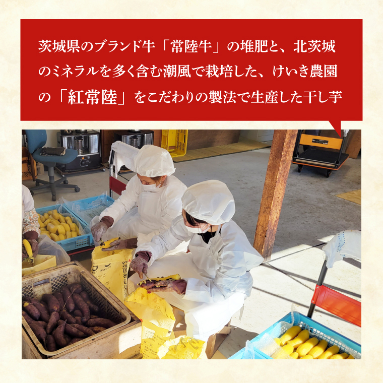 「特撰」干し芋紅常陸　丸干し 500ｇ【紅常陸 べにひたち さつまいも サツマイモ 甘い おいしい 袋詰め ギフトボックス 】(BV011)