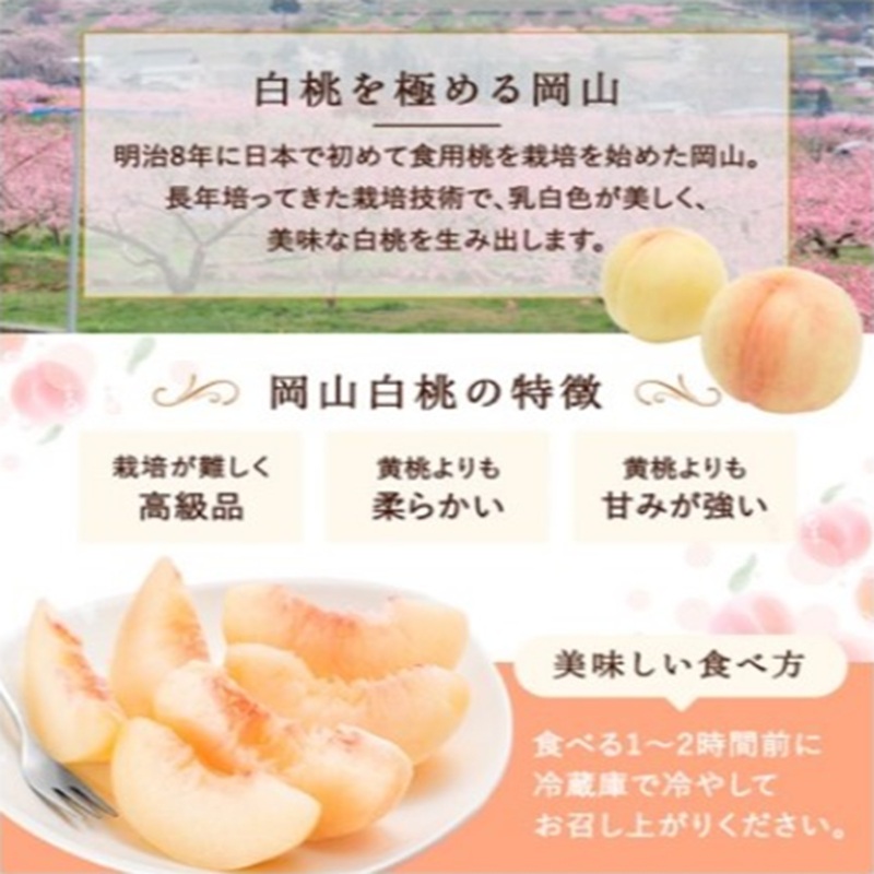桃 2026年 先行予約 白桃 6玉(1.5kg以上)等級：ロイヤル 化粧箱入り もも モモ 岡山県産 国産 フルーツ 果物 セット ギフト
