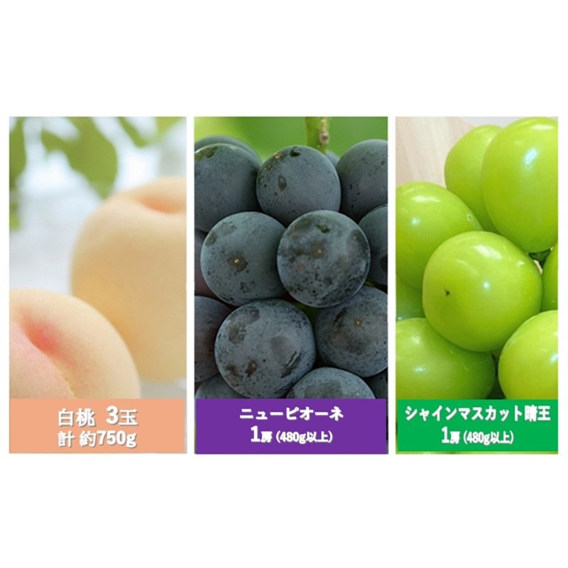 フルーツ 定期便 2026年 先行予約 晴れの国 岡山 の 定期フルーツ定期便 3回コース 桃 もも 葡萄 ブドウ 岡山県産 国産 セット ギフト