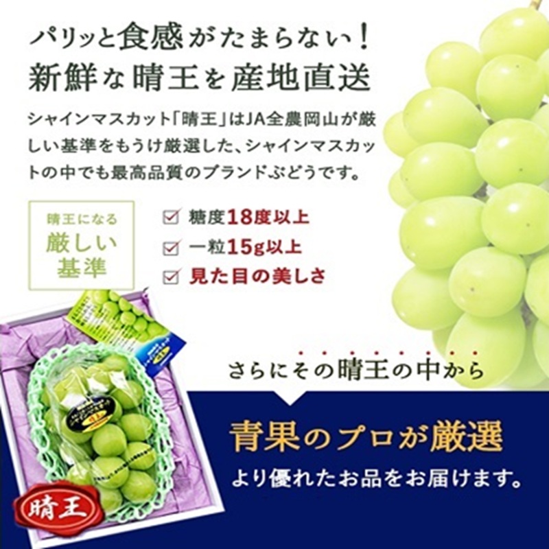 ぶどう 2026年 先行予約 シャイン マスカット 晴王 1房 700g前後 ブドウ 葡萄  岡山県産 国産 フルーツ 果物 ギフト 岡山のブドウ デザート 食べ物 日本産