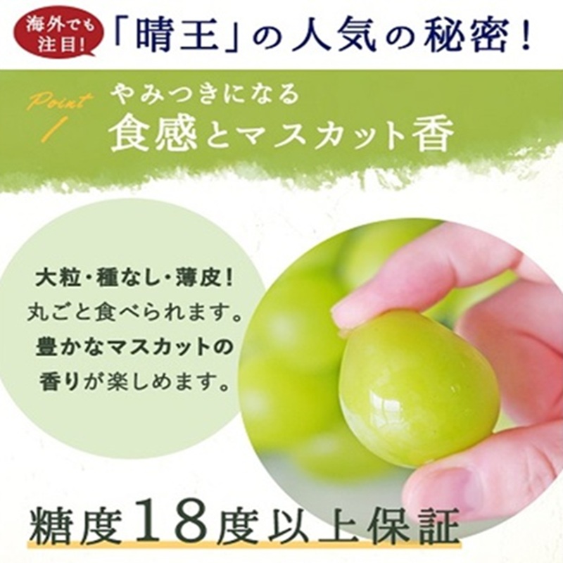 ぶどう 2026年 先行予約 シャイン マスカット 晴王 1房 800g前後 ブドウ 葡萄  岡山県産 国産 フルーツ 果物 ギフト 岡山のブドウ デザート 食べ物 日本産