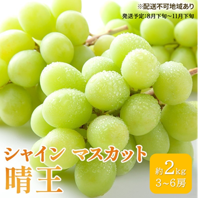 ぶどう 2026年 先行予約 シャイン マスカット 晴王 3房～6房 約2kg ブドウ 葡萄  岡山県産 国産 フルーツ 果物 ギフト 果物類