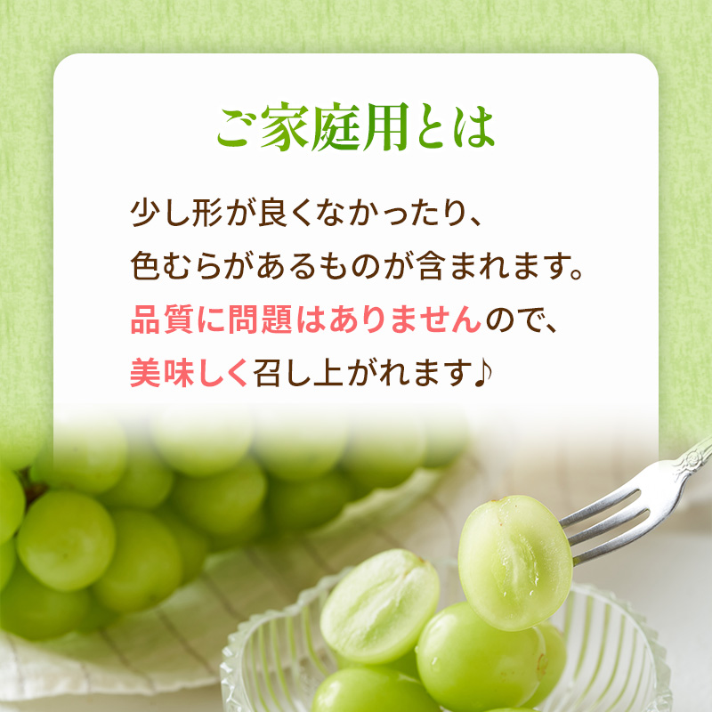 ぶどう 2026年 先行予約 ご家庭用 シャイン マスカット 晴王 3～6房 約2kg ブドウ 葡萄  岡山県産 国産 フルーツ 果物 太陽 美しい 外観 大粒 高糖度 種なし 皮ごと 弾力 食感 美味しい