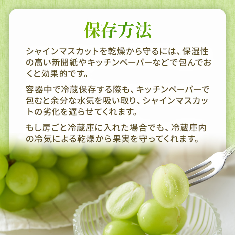 ぶどう 2026年 先行予約 ご家庭用 シャイン マスカット 晴王 約400g×2房 ブドウ 葡萄  岡山県産 国産 フルーツ 果物 太陽 美しい 外観 大粒 高糖度 種なし 皮ごと 弾力 食感 美味しい