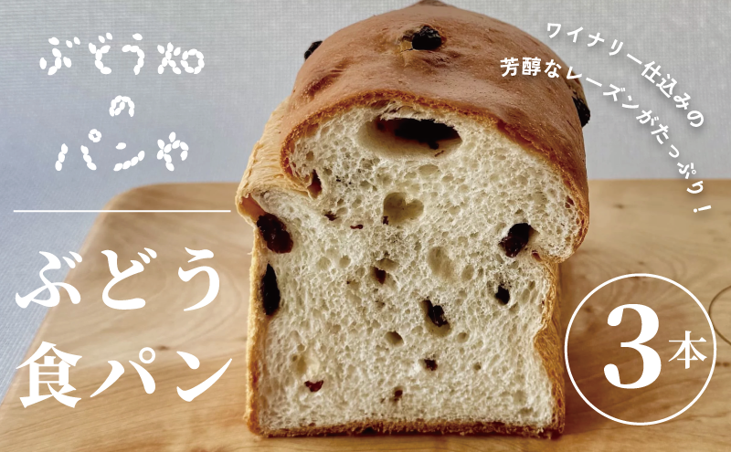 ぶどう食パン 3本