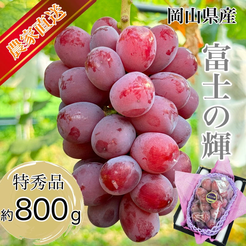 �y���R���ʖ�s�z�Ԃǂ� 2026�N ��s�\�� �b��̕i�� �x�m�̋P 1�[�l�� ���G�����N 800g�ȏ� ���G ���� ���R���Y ���Y �t���[�c �ʕ� �M�t�g �y Nini farm �_�� ���� �z