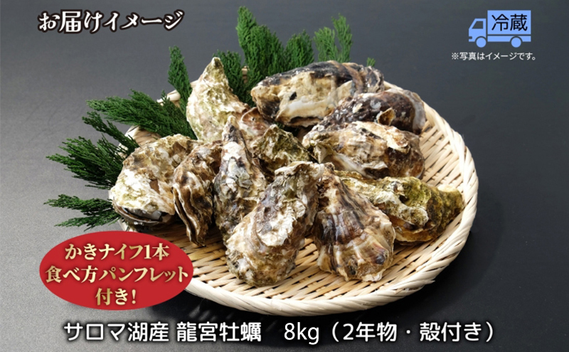 北海道 サロマ湖産 龍宮牡蠣 8kg（ 2年物 殻付き カキ ）カキナイフ付 牡蠣 海鮮 魚介 国産 貝付き 生牡蠣 生食 焼き牡蠣 蒸し牡蠣 冷蔵 産地直送 オホーツク