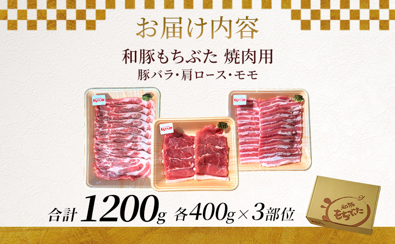 和豚もちぶた お試しセット 焼肉用 1200g 400g×3部位 3～4人世帯向け 豚バラ 肩ロース モモ